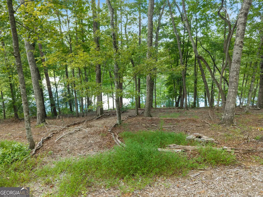 501 High Meadow Lakes Rd Clarkesville, GA 30523