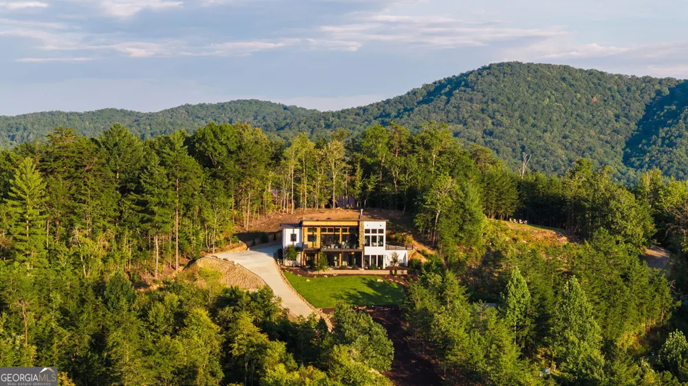 251 Angel Heart LN Mineral Bluff, GA 30559