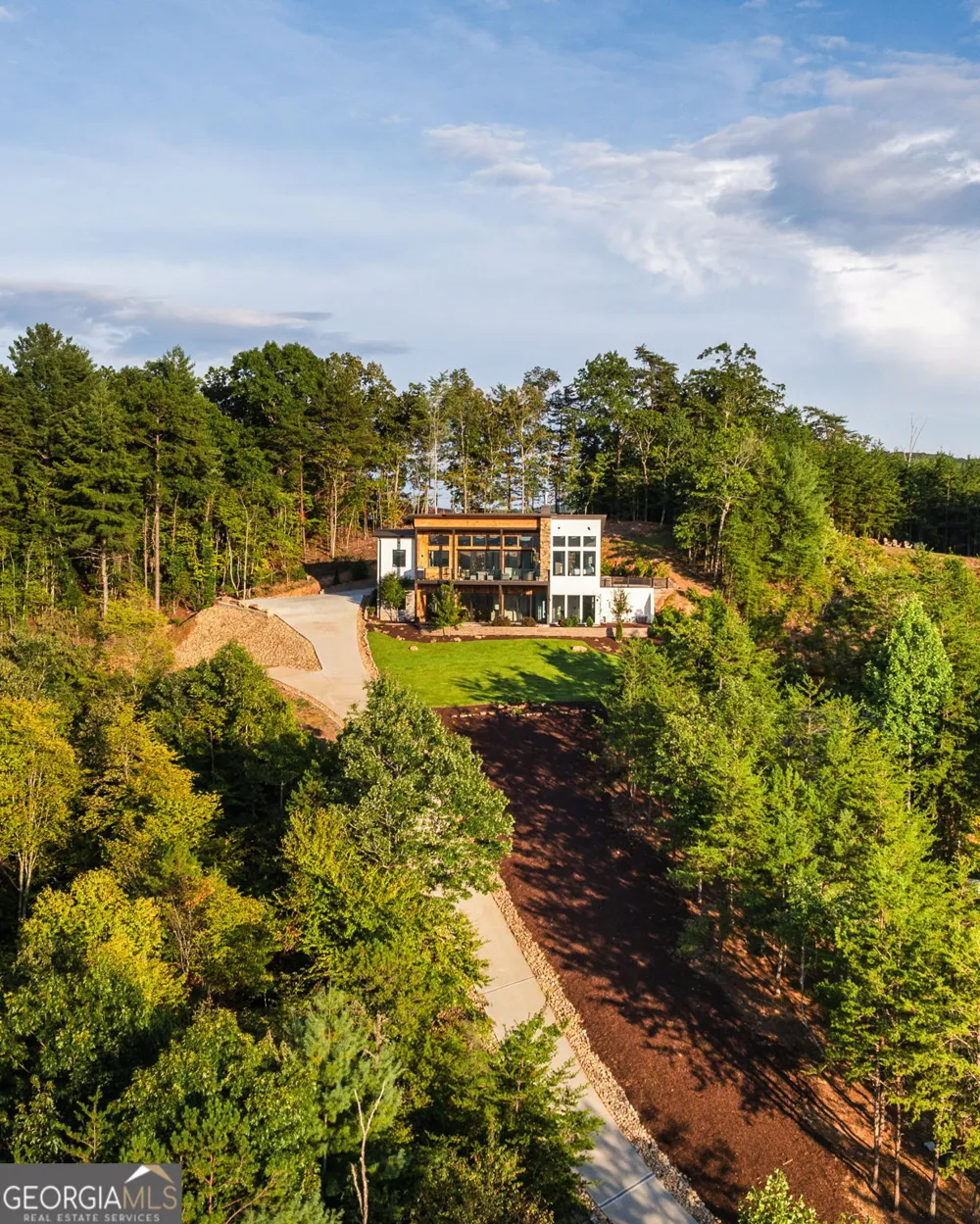 251 Angel Heart LN Mineral Bluff, GA 30559