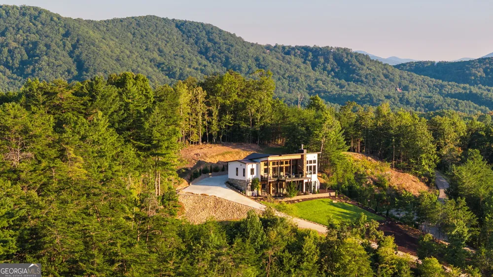 251 Angel Heart LN Mineral Bluff, GA 30559