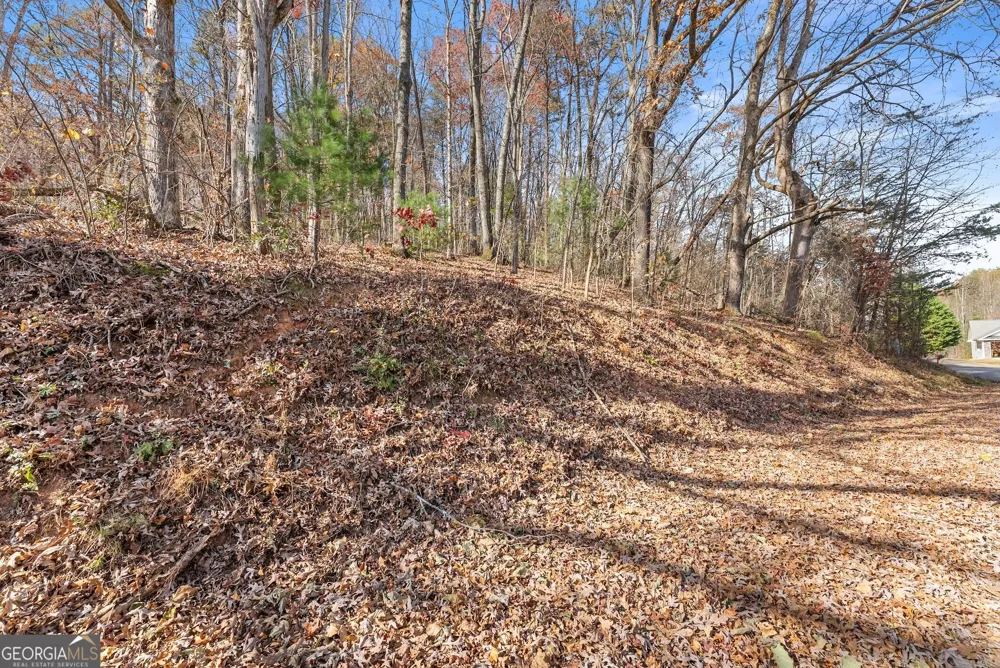 LOT 50 & 51 Meadow Crest DR Cleveland, GA 30528