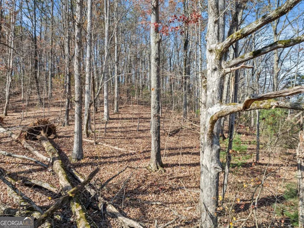 LOT 50 & 51 Meadow Crest DR Cleveland, GA 30528