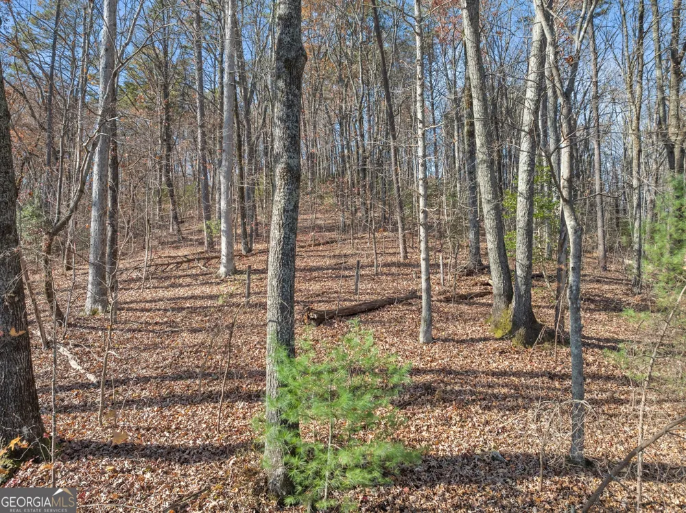 LOT 50 & 51 Meadow Crest DR Cleveland, GA 30528
