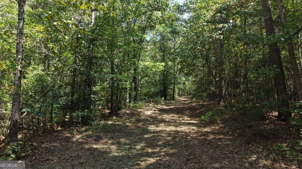 LOT 1 Gregg Shoals DR Elberton, GA 30635