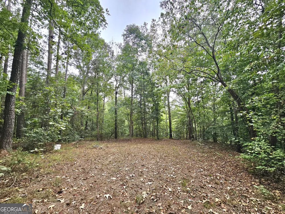 LOT 1 Gregg Shoals DR Elberton, GA 30635