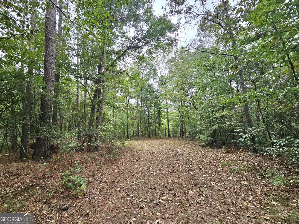 LOT 1 Gregg Shoals DR Elberton, GA 30635