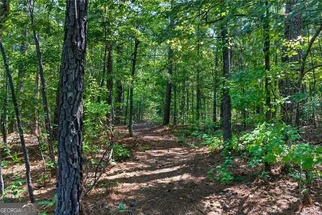 961 Birdie RD Griffin, GA 30223