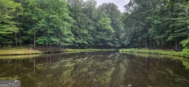 961 Birdie RD Griffin, GA 30223