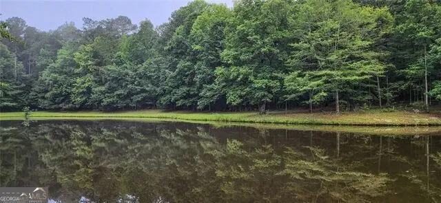 961 Birdie RD Griffin, GA 30223