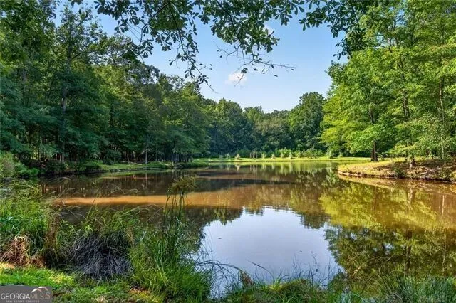 961 Birdie RD Griffin, GA 30223