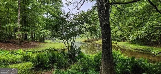 961 Birdie RD Griffin, GA 30223