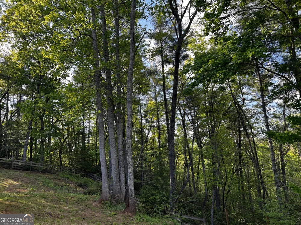 221 Muscadine RD Dahlonega, GA 30533