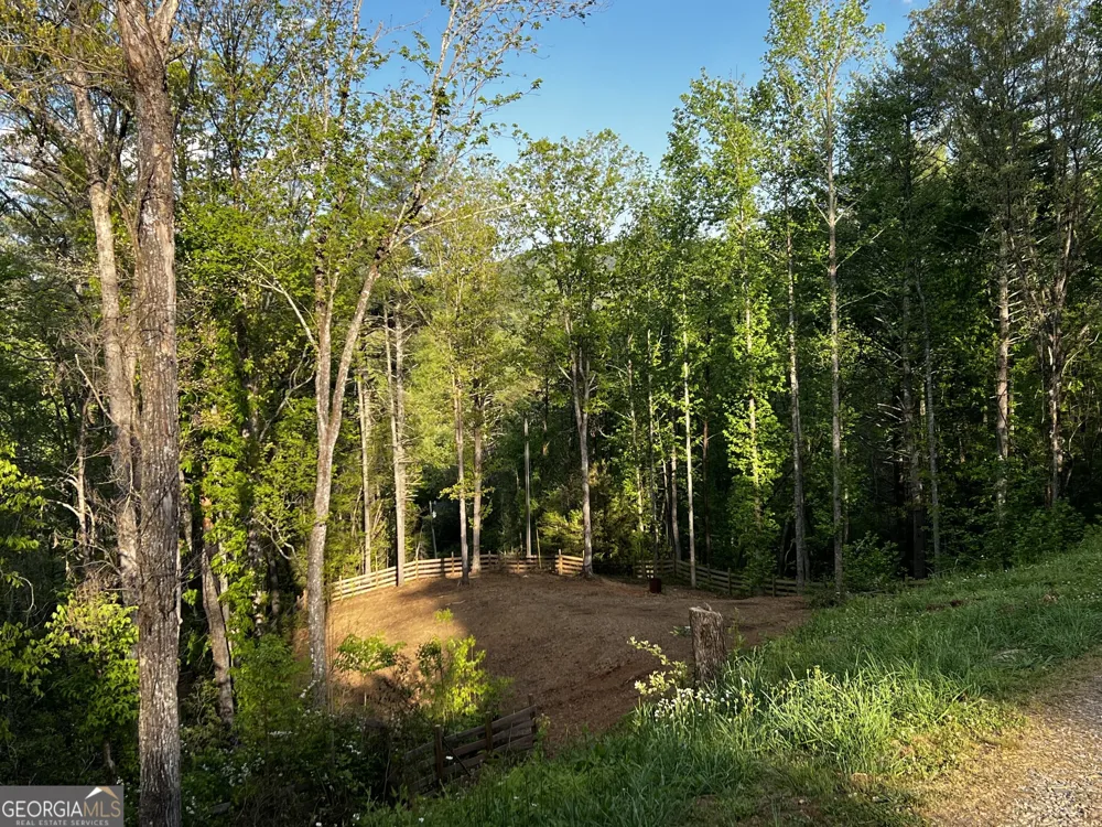 221 Muscadine RD Dahlonega, GA 30533