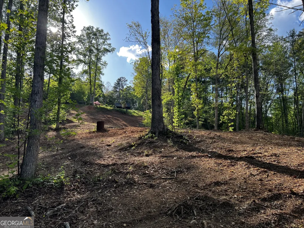221 Muscadine RD Dahlonega, GA 30533