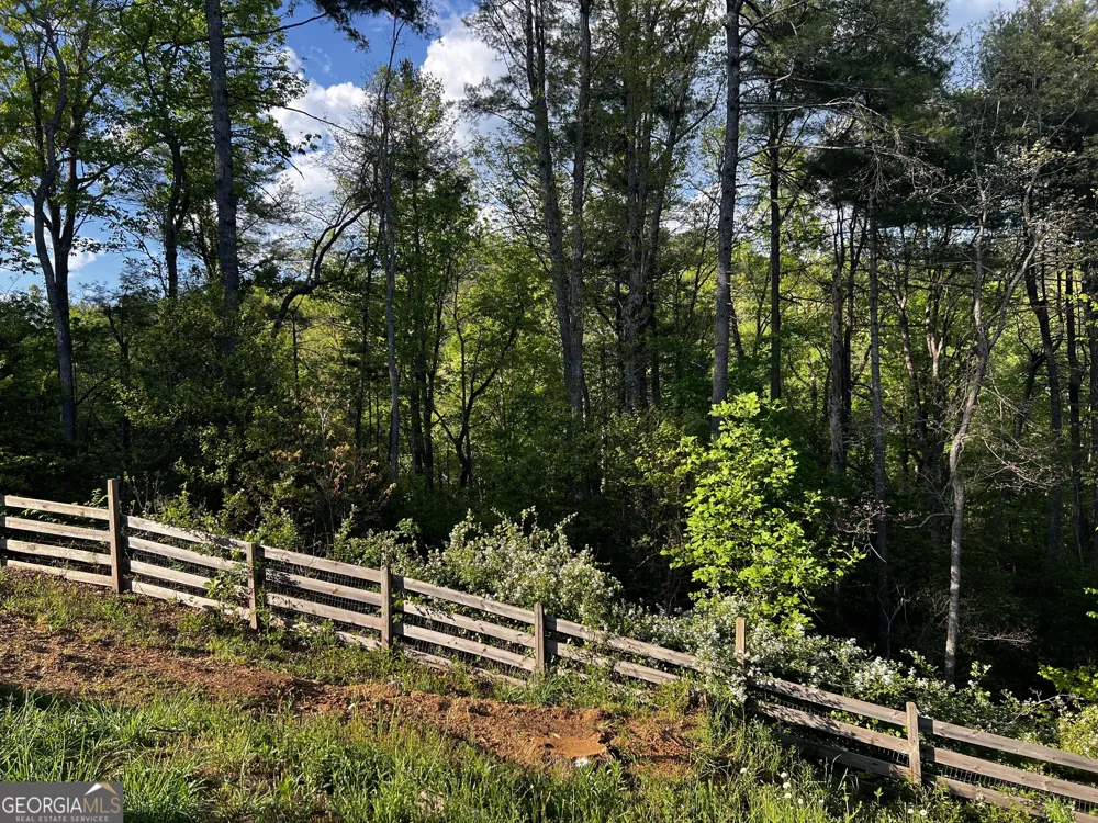 221 Muscadine RD Dahlonega, GA 30533