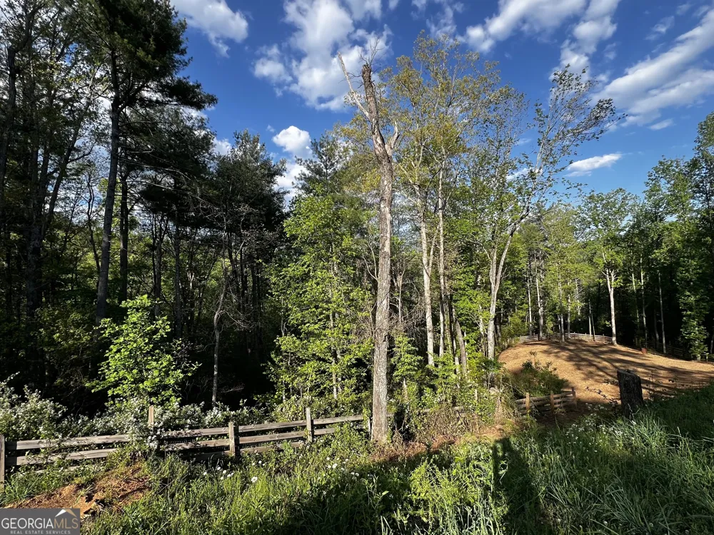 221 Muscadine RD Dahlonega, GA 30533