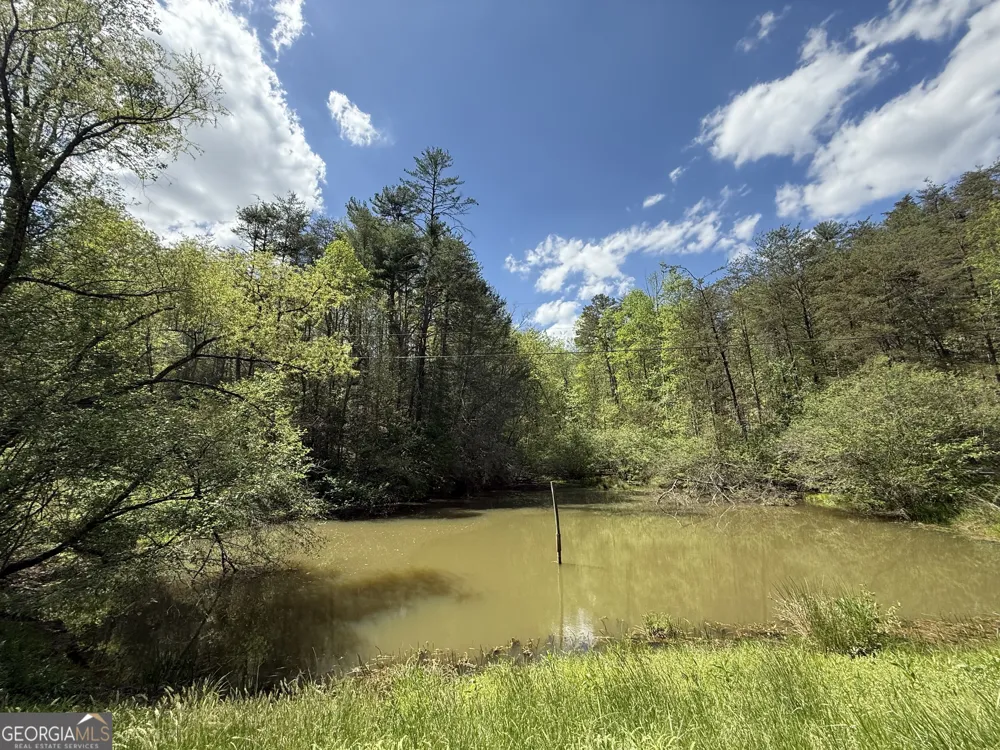 221 Muscadine RD Dahlonega, GA 30533