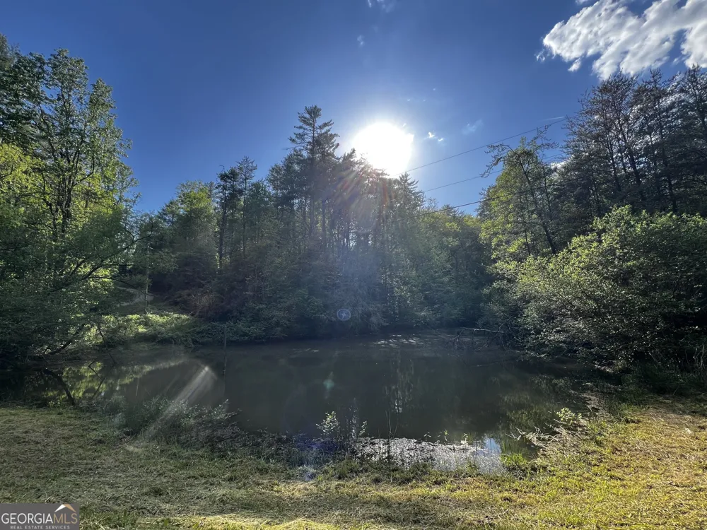 221 Muscadine RD Dahlonega, GA 30533