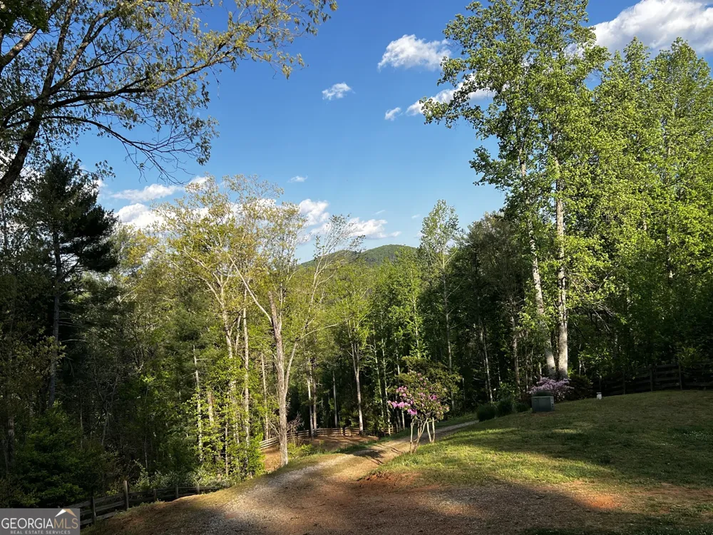 221 Muscadine RD Dahlonega, GA 30533