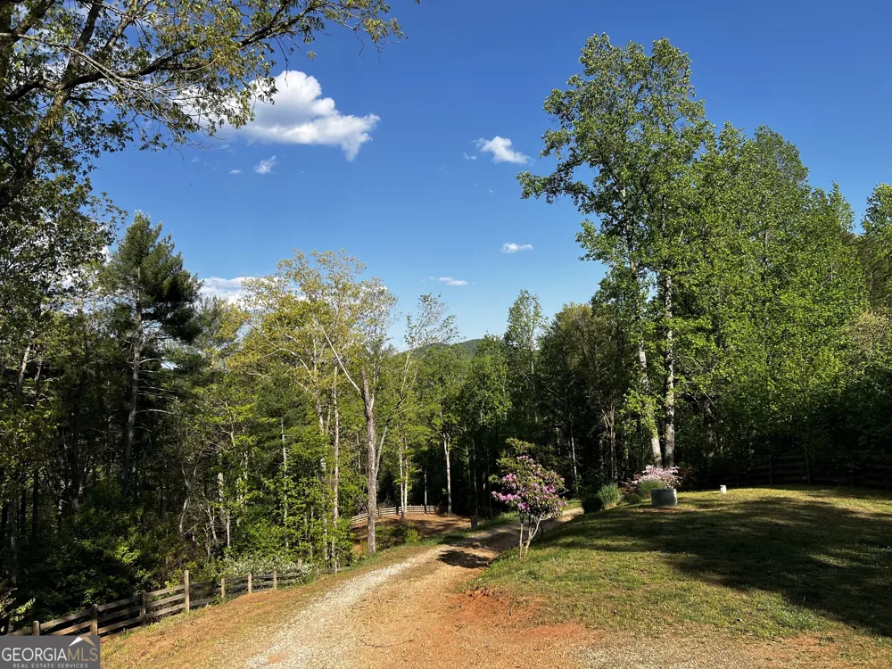 221 Muscadine RD Dahlonega, GA 30533