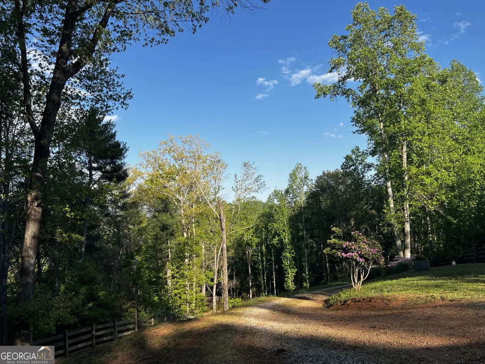 221 Muscadine RD Dahlonega, GA 30533
