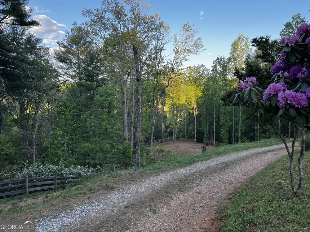 221 Muscadine RD Dahlonega, GA 30533