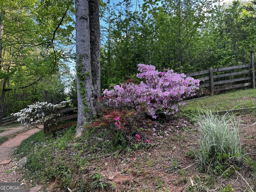 221 Muscadine RD Dahlonega, GA 30533
