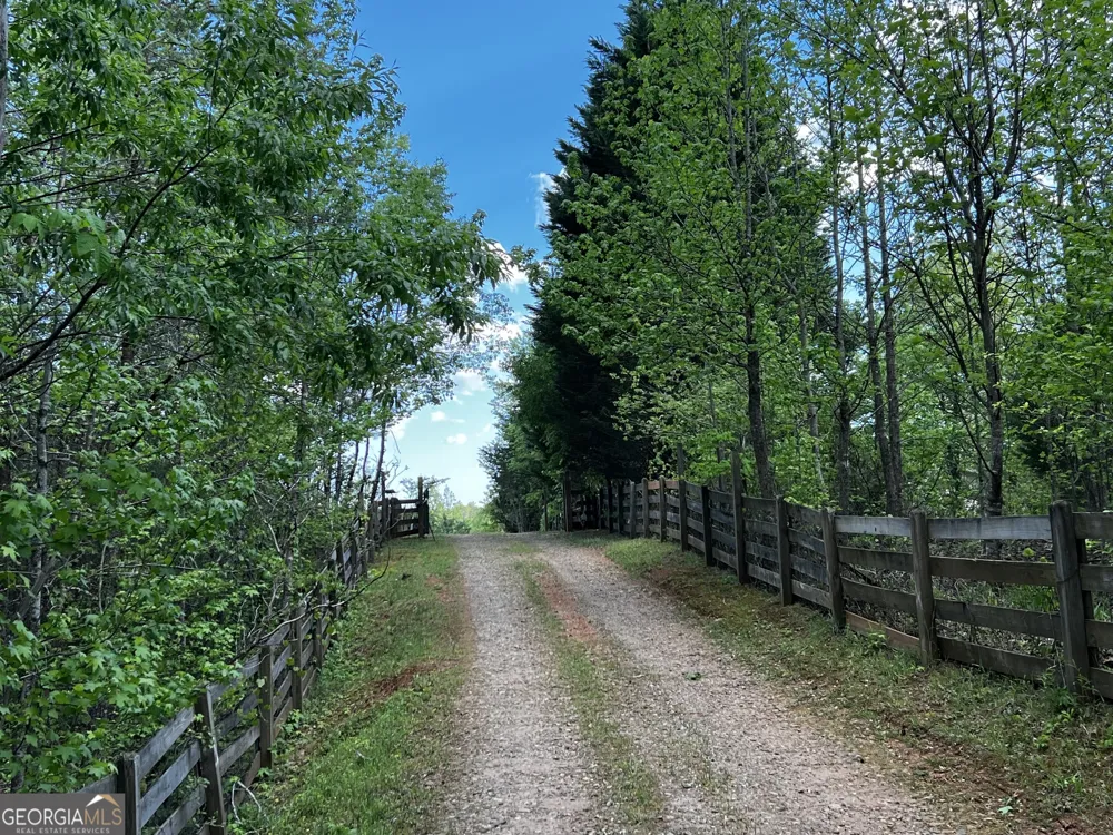 221 Muscadine RD Dahlonega, GA 30533