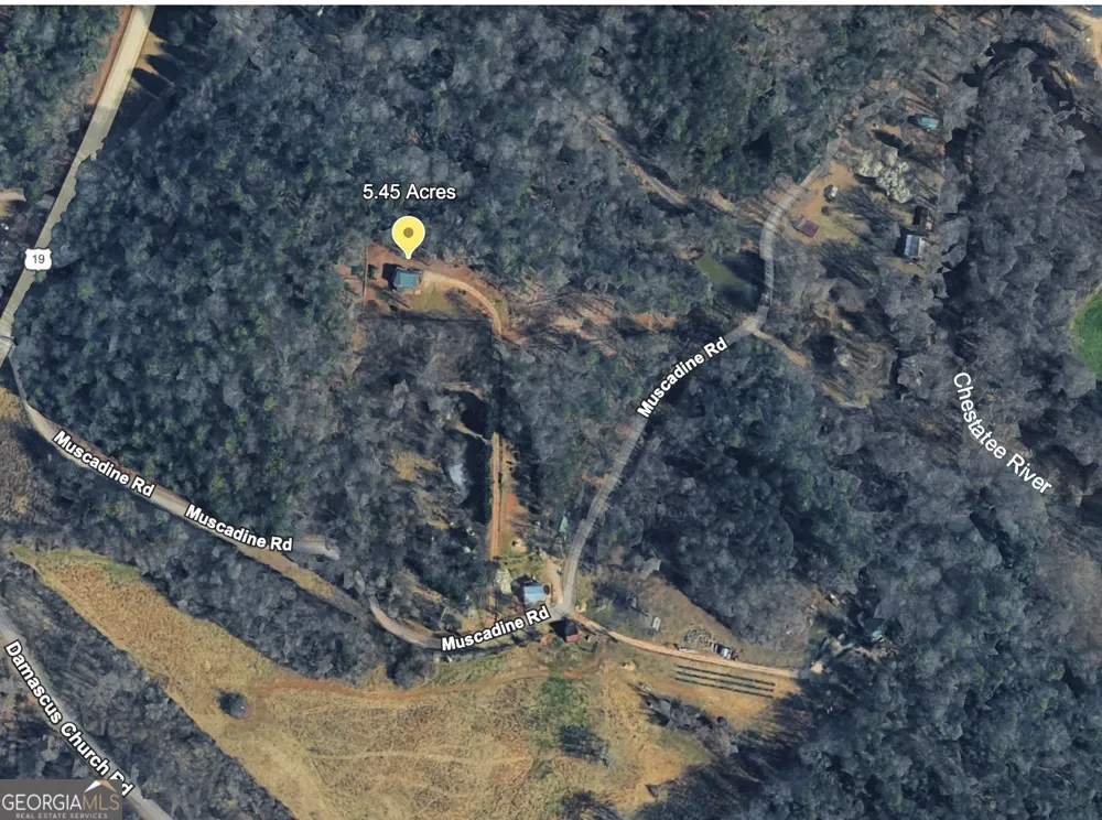 221 Muscadine RD Dahlonega, GA 30533