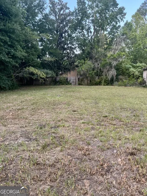 0 Okefenokee DR Folkston, GA 31537