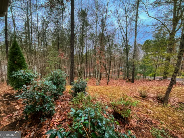 60 Mossy Oak CT Ellijay, GA 30540