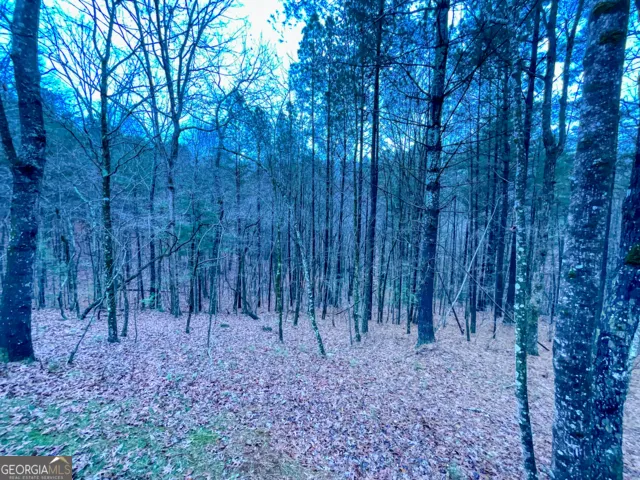 60 Mossy Oak CT Ellijay, GA 30540