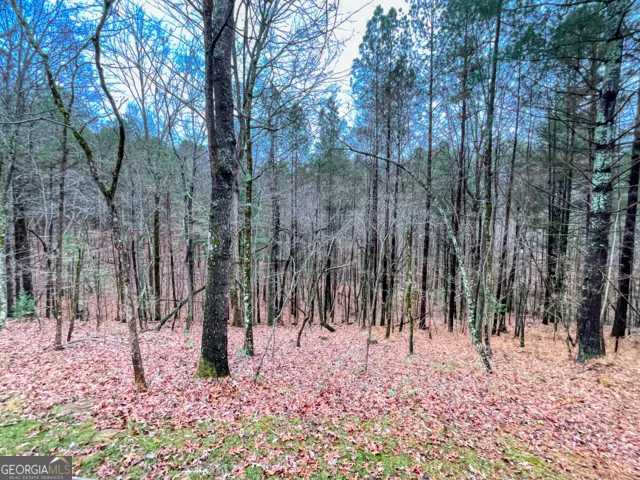60 Mossy Oak CT Ellijay, GA 30540
