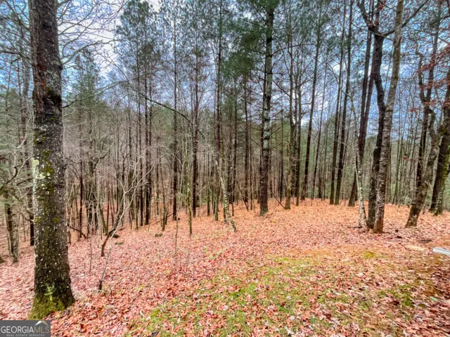 60 Mossy Oak CT Ellijay, GA 30540