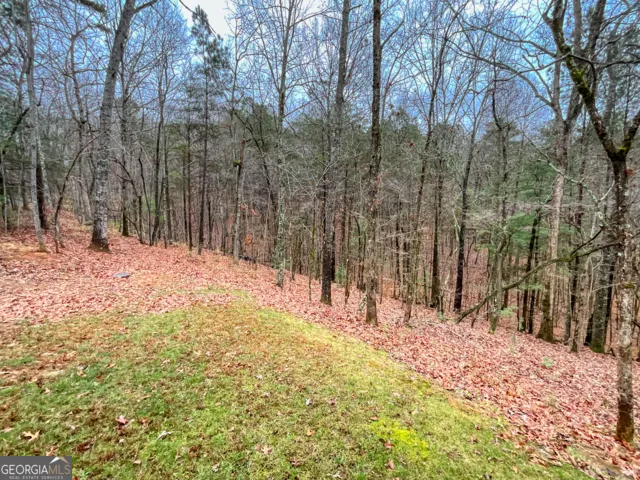 60 Mossy Oak CT Ellijay, GA 30540