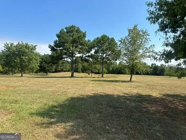 695 Teamon RD Griffin, GA 30223