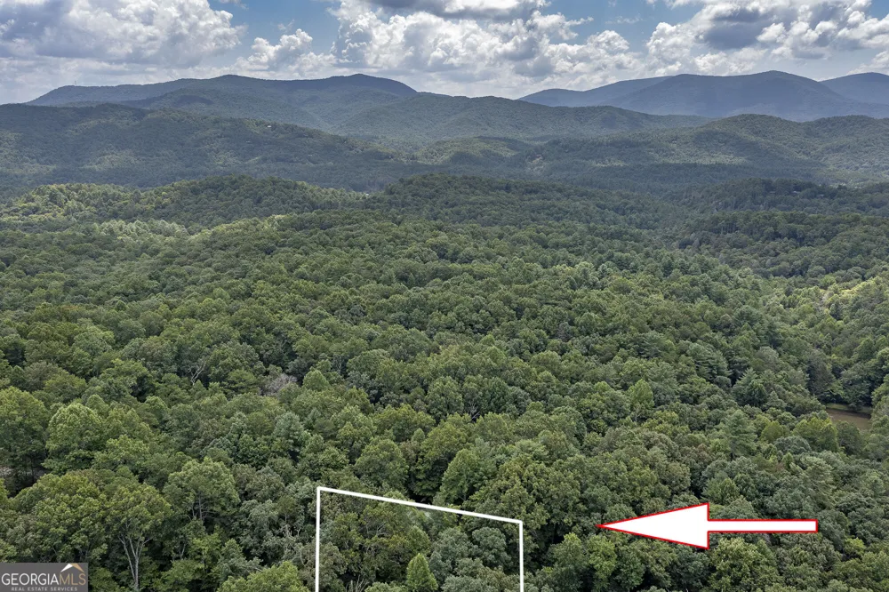 78 Tomahawk TRL Blue Ridge, GA 30513