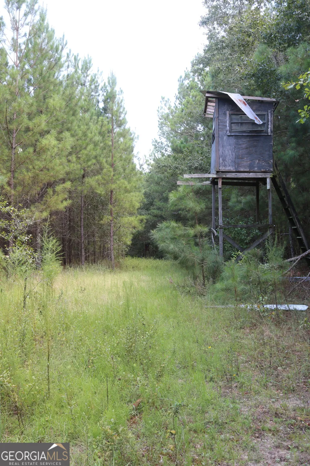 0 Barentine Rd Rochelle, GA 31079