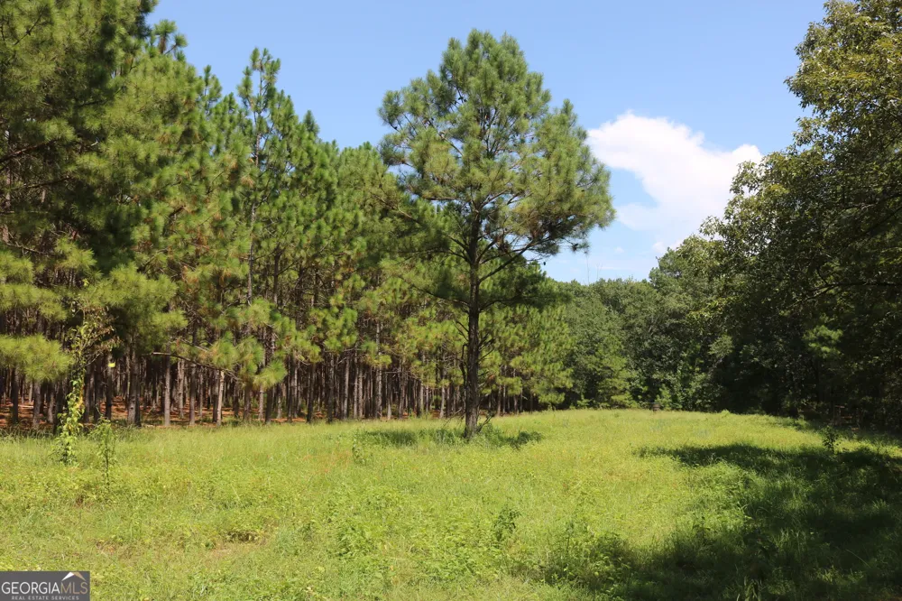 0 Barentine Rd Rochelle, GA 31079
