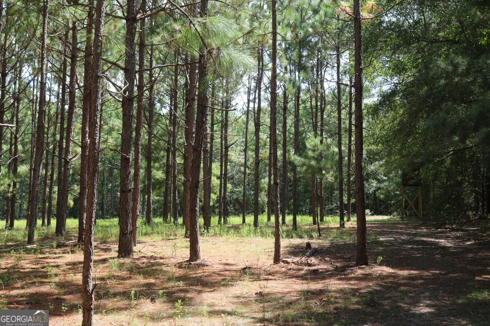 0 Barentine Rd Rochelle, GA 31079