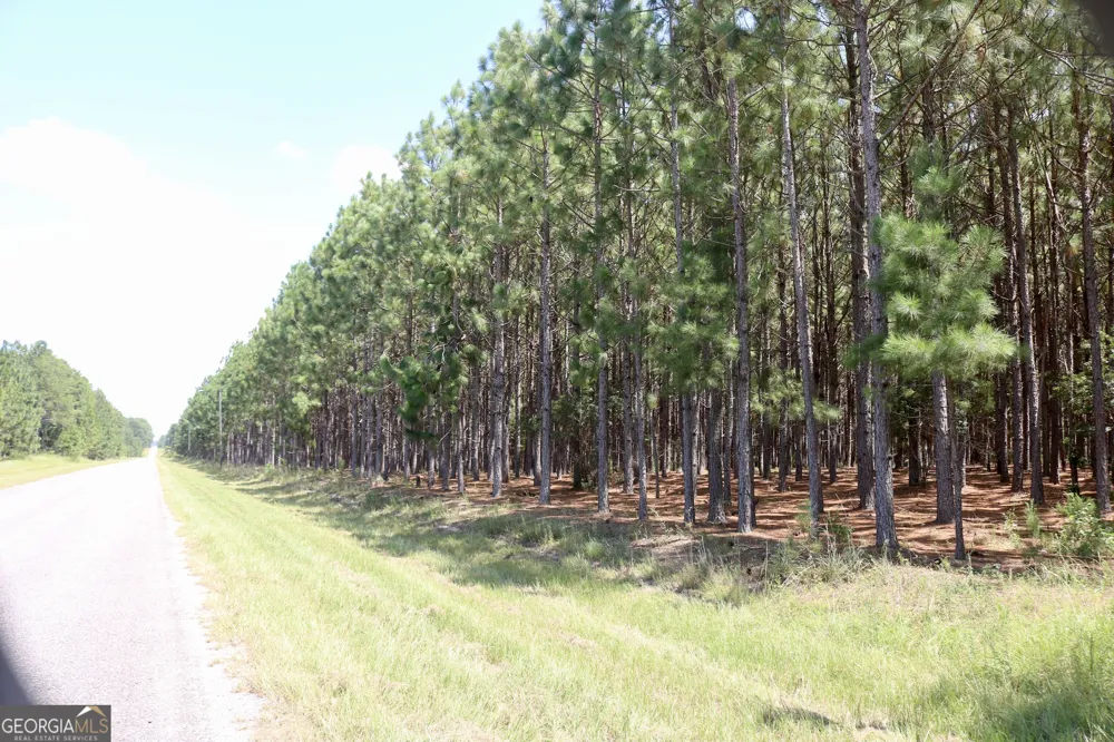 0 Barentine Rd Rochelle, GA 31079