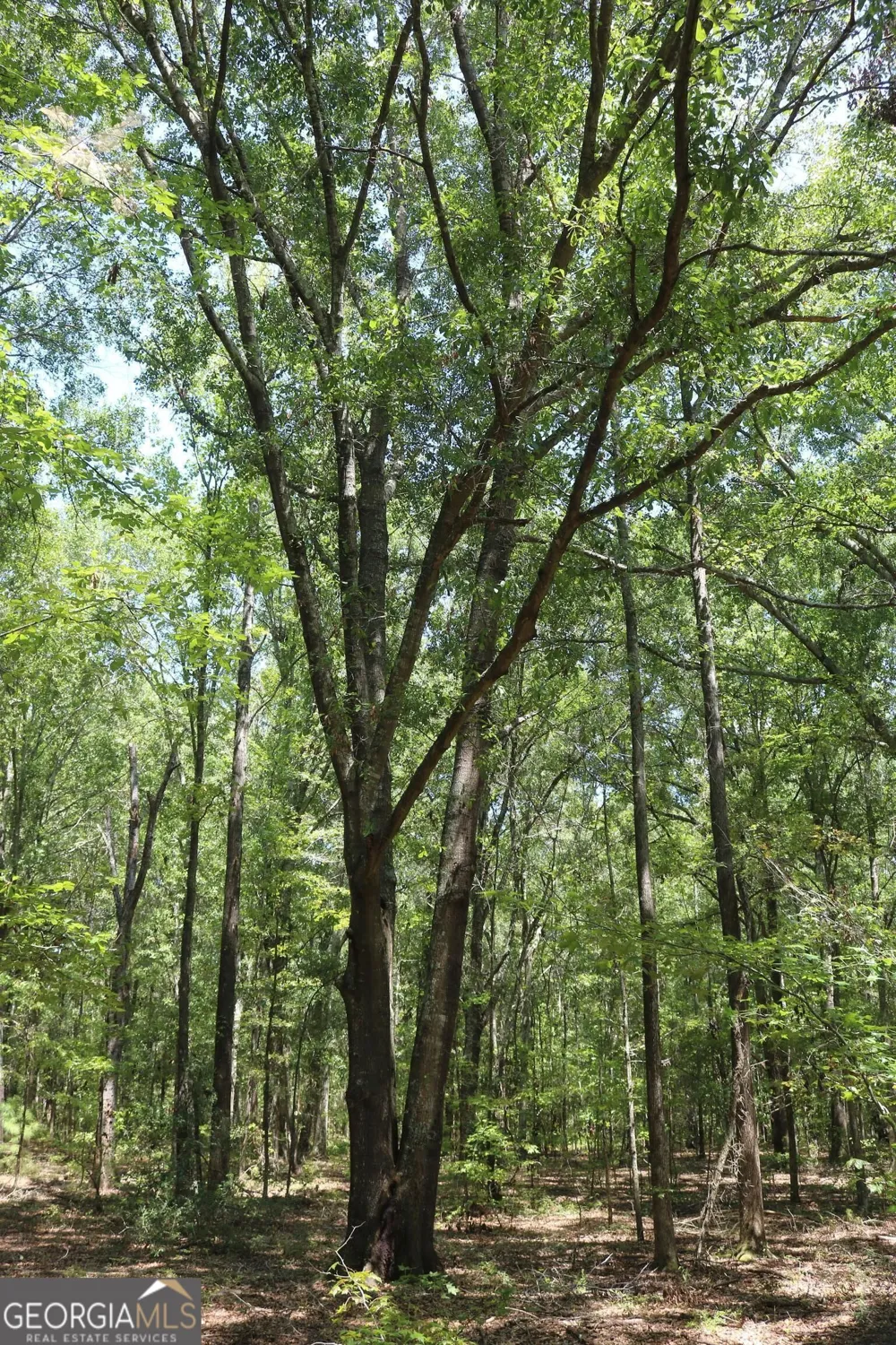 0 Barentine Rd Rochelle, GA 31079