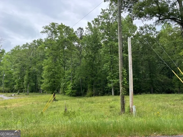 1314 Cheatham RD Griffin, GA 30223