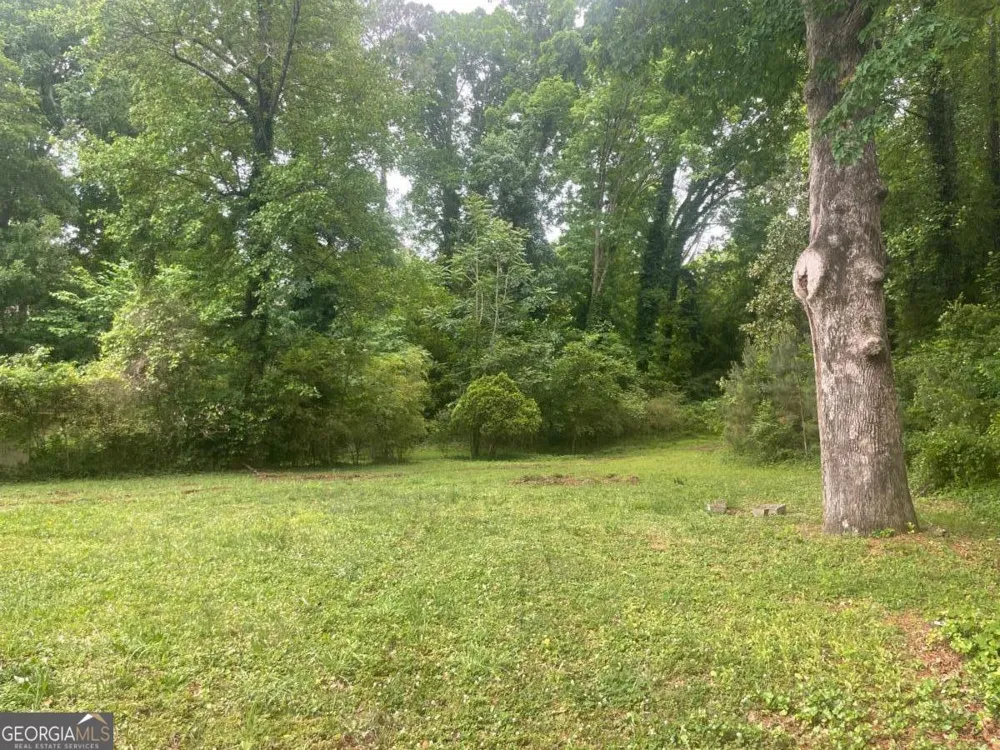 1142 Hilburn DR SE Atlanta, GA 30316
