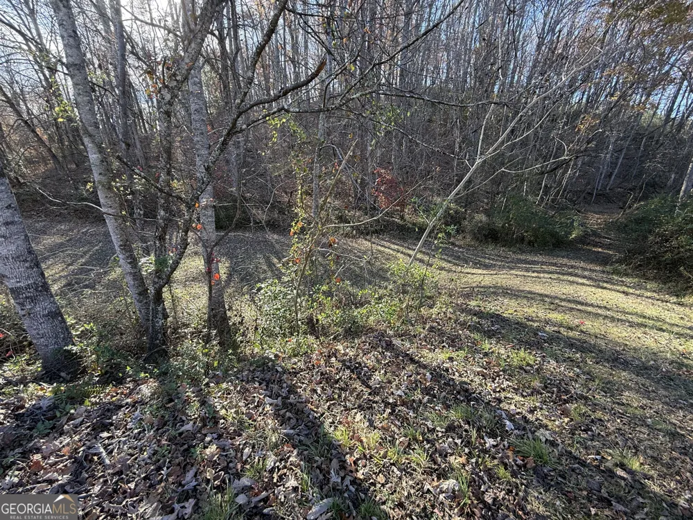 0 Duncan Bridge RD Cleveland, GA 30528