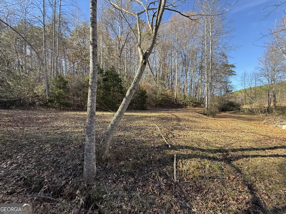 0 Duncan Bridge RD Cleveland, GA 30528