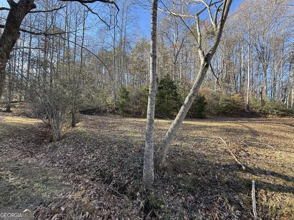 0 Duncan Bridge RD Cleveland, GA 30528