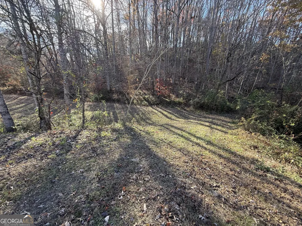 0 Duncan Bridge RD Cleveland, GA 30528