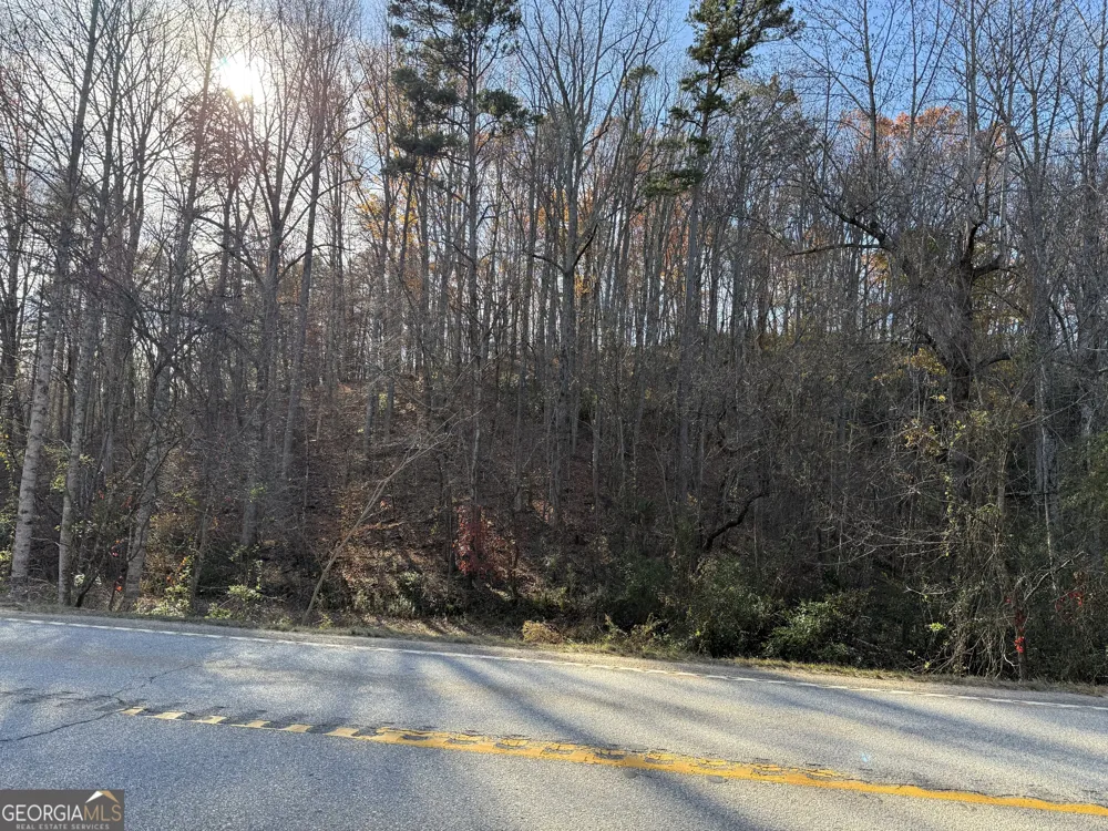 0 Duncan Bridge RD Cleveland, GA 30528