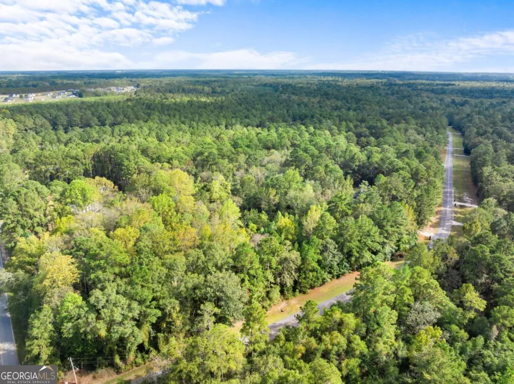 0 Plantation Pointe DR Statesboro, GA 30461